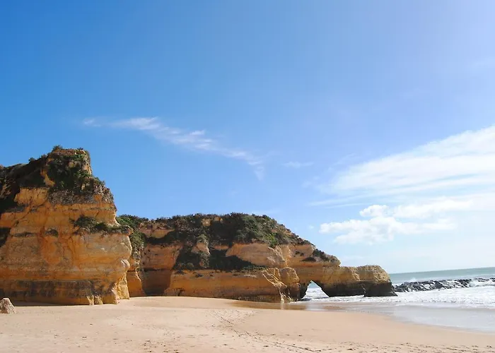 Da Rocha 波尔蒂芒