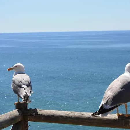 Appartement Da Rocha